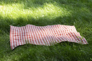 Çimenlerdeki piknik örtüsü boş fotokopi alanı yiyecek arka planı. Dışarıdaki çimenlikte masa örtüsü. Kırmızı kareli kumaş.
