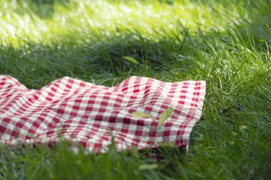 Kırmızı kareli masa örtüsü, piknik havlusu ekose kumaş, açık hava. Yemek reklamı şablonu..