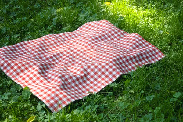 Kırmızı piknik havlusu ekose yeşil çimlerde, yemek reklamı boş. Masaüstü. Kır kıyafetleri. Dışarıda masa örtüsü..