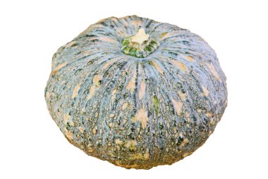 Kabak Kabağı ya da Tayland Balkabağı Beyaz Arkaplanda İzole Edildi