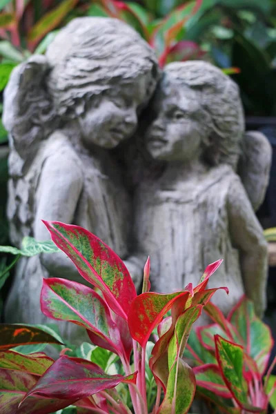 Closeup Red Aglaonema Blurry Angel Sculptures Backdrop — Stock Photo, Image