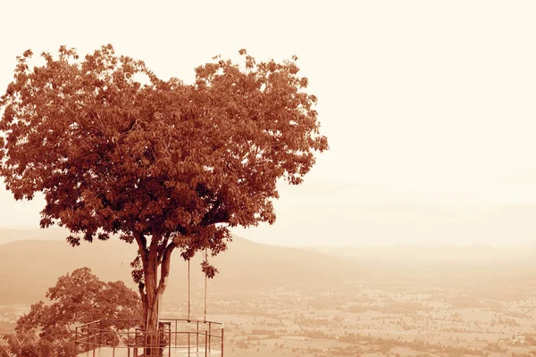 Sepia Tone Bulutlu Gökyüzünde Nanılmaz Kalp Şekli Ağaç — Stok fotoğraf