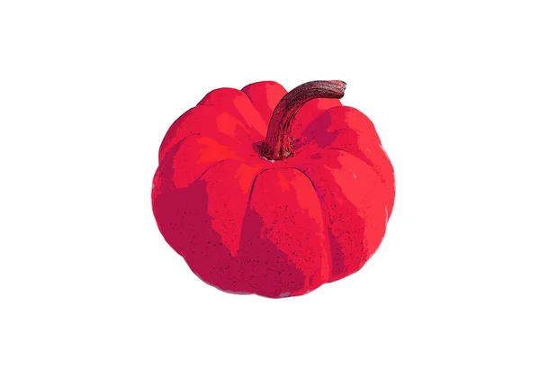 白を基調とした鮮やかな赤かぼちゃのイラスト — ストック写真