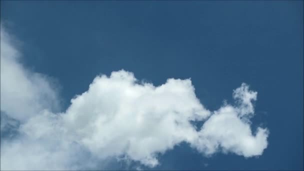 Time Lapse Beelden Van Pluizige Witte Cumulus Wolken Drijvend Blue — Stockvideo