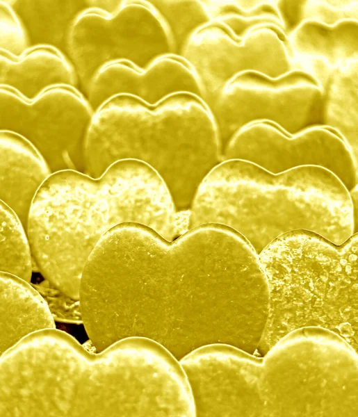 Parlak Altın Sevgililer Günü Hoya Bitkilerinin Pop Art Gerçeküstü Stil — Stok fotoğraf