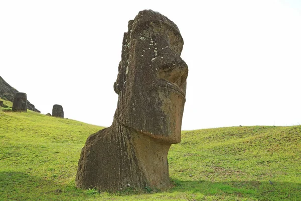 Una Delle Gigantesche Statue Moai Abbandonate Sul Vulcano Rano Raraku — Foto Stock