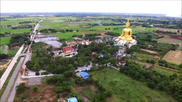 Filmato Dell Impressionante Veduta Aerea Una Massiccia Immagine Buddha Seduto — Video Stock