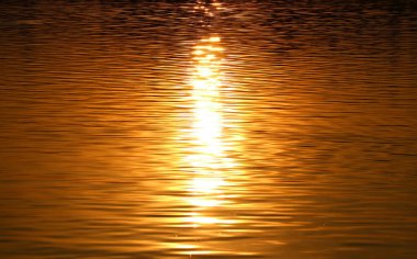 Golden Reflections of the Sunrise on Water Surface