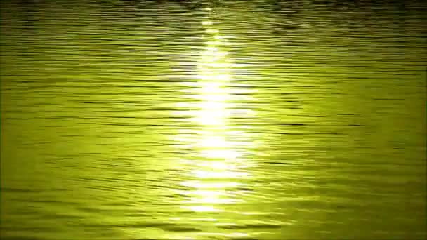 太陽の光を反射して輝く水の波紋を変化させる芸術的な色の映像 — ストック動画