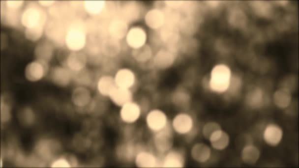 Footage Classy Sepia Colored Abstract Blurred Foliage Morning Sunlight — Stock video