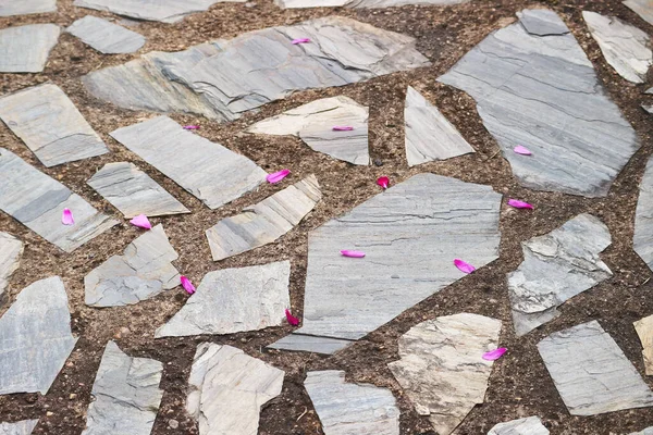 Stepping stones in the garden with fallen flower petals
