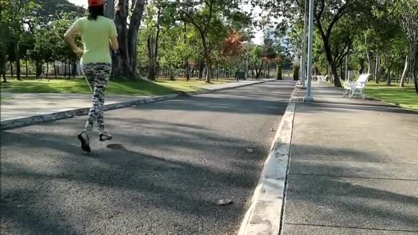 Πλάνα Μιας Γυναίκας Τρέχει Στο Πάρκο Ένα Σκίουρο Περνάει Μπροστά — Αρχείο Βίντεο