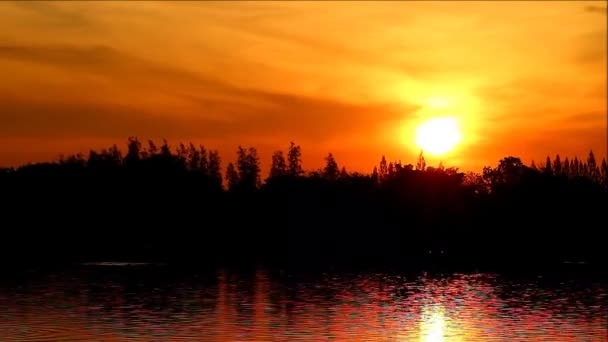 Кадры Ошеломляющего Золотого Яркого Солнца Над Озером — стоковое видео