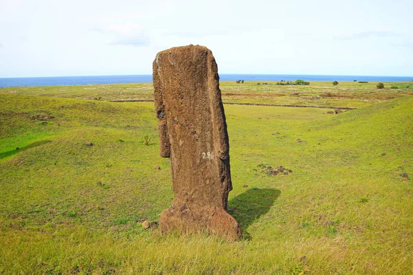 ラーラク火山の麓にある放棄された巨大なモアイ像の1つ イースター島の歴史的なモアイ採石場 — ストック写真