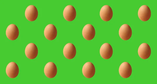 Egg Pattern on Spring Green Background for a Concept of Organic Free Range Eggs