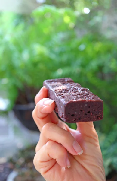 Mano Con Gustoso Brownie Cioccolato Con Giardino Sfocato Sullo Sfondo — Foto Stock