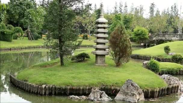 Nagranie Javan Pond Czapla Połowu Ryb Japońskim Stawie Ogrodowym — Wideo stockowe