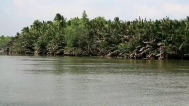 Samut Sakorn, Tayland 'daki Tranquil Kanalı boyunca Hindistan cevizi ve Nipa Palm Gardens ile rahatlatıcı Atmosfer