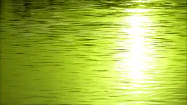 太陽の光を反射して水の波紋を変える驚くべき色の映像 — ストック動画