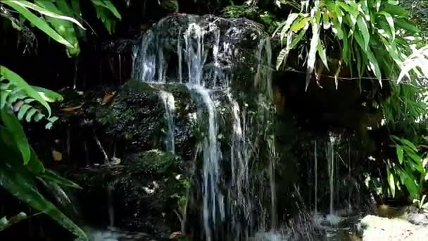 Кадри Каскадних Садових Водоспадів Зеленим Листям Передньому Плані — стокове відео