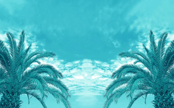 Pop Art Surrealistisch Gestileerd Van Turkoois Blauw Twee Palm Bomen — Stockfoto