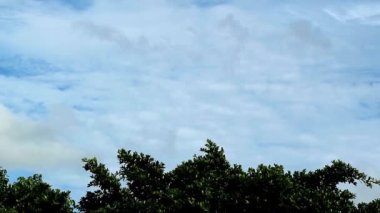 Beyaz Stratocumulus Bulutlarının Yeşil Yapraklara Yayıldığı Zaman Hızı Görüntüsü