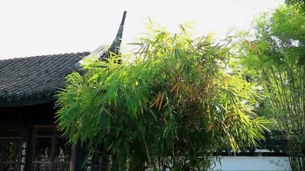 庭園にある伝統的な中国のパビリオンのある竹の木の映像 — ストック動画