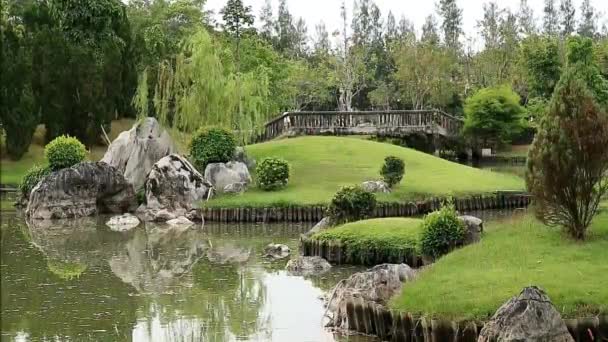 Images Jardin Japonais Avec Des Îles Tortue Dans Étang — Video