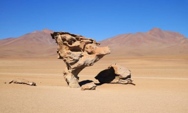 Eduardo Avaroa Andean Ulusal Rezervi, Sur Lipez, Bolivya, Güney Amerika 'da Arbol de Piedra adında bir İkonik Kaya oluşumu.