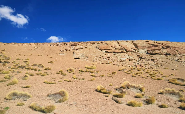 Massive Felsformationen Mit Ichu Pflanzen Der Siloli Wüste Bolivianisches Altiplano — Stockfoto
