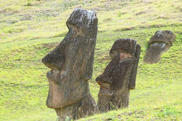 Groupe Statues Massive Moai Abandonnées Sur Volcan Rano Raraku Carrière — Photo
