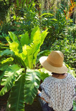 Hasır şapkalı kadın bahçede kuş yuvası eğreltiotunun tadını çıkarıyor.