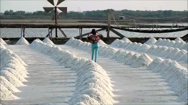 タイの広大な塩農場で収穫された塩の山を歩いている女性の映像 — ストック動画