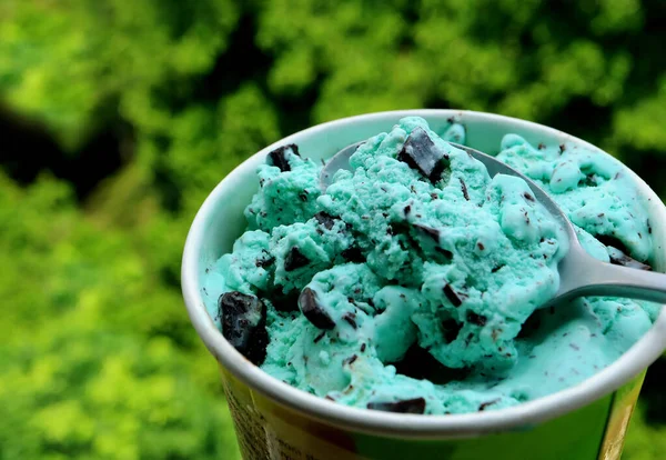 Kanál Scooping Menta Csokoládé Chip Jégkrém Elmosódott Zöld Lombozat Háttérben — Stock Fotó