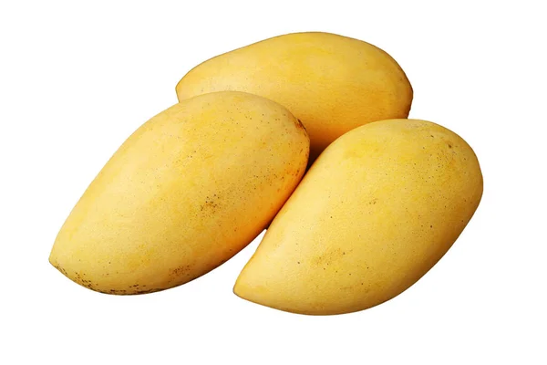 Trzy Świeże Dojrzałe Mango Całe Owoce Izolowane Białym Tle — Zdjęcie stockowe