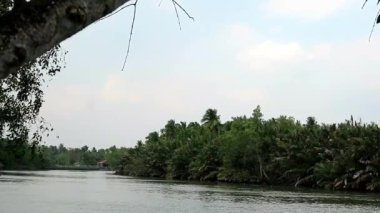 Tayland 'ın merkez bölgesi Tranquil Kanalı boyunca Coconut ve Nipa Palm Gardens' ın Rahatlatıcı Atmosferi