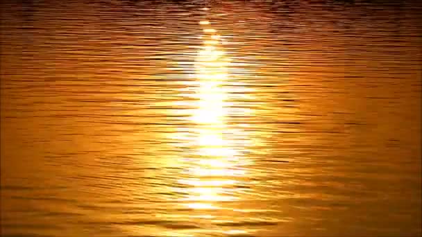 Beelden Van Levendige Gouden Kleur Water Rimpelt Glinsteren Het Zonlicht — Stockvideo