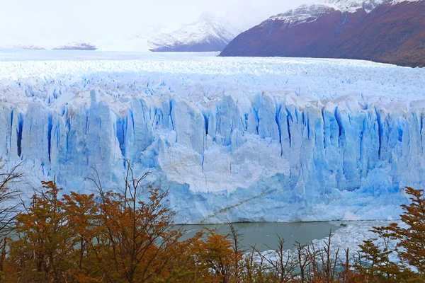 Foliage 파타고니아 아르헨티나 남아메리카에서 Glaciares 공원에서 페리토 모레노 빙하의 놀라운 — 스톡 사진