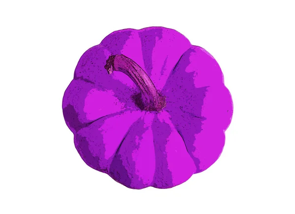 Illustration Des Pop Art Stils Vivid Purple Pumpkin Top View — Stockfoto