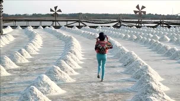 Tayland Samut Sakhon Bölgesindeki Rüzgârlı Bir Tuz Tarlasında Hasat Edilmiş — Stok video