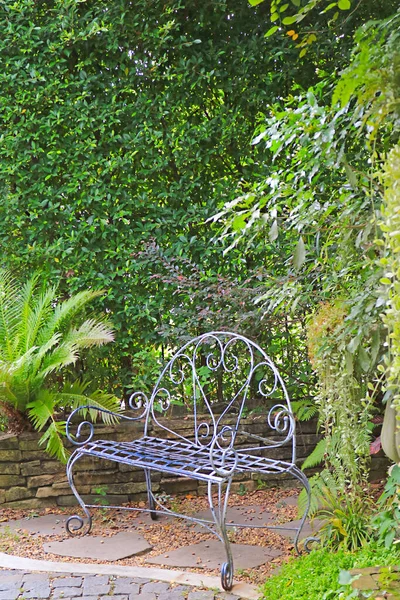 Chaise Vintage Fer Forgé Dans Jardin Plantes Feuilles Persistantes — Photo