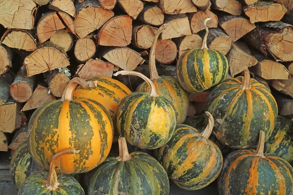 Pile of raw pumpkins with chopped wood logs in the backdrop