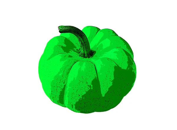 Illustration Pop Art Style Amazing Neon Green Pumpkin Isolated White — Stock Photo, Image
