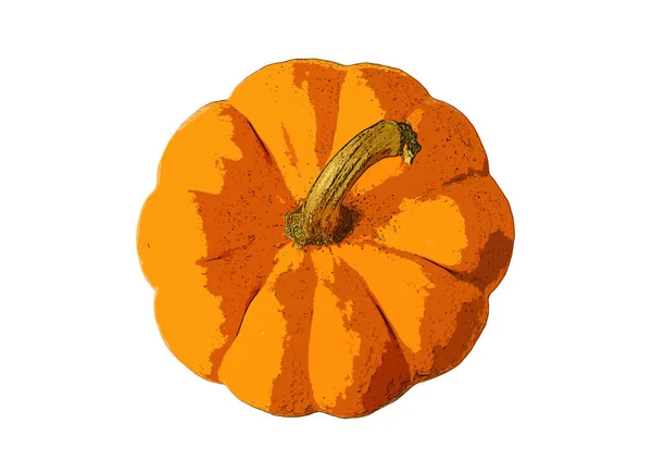 Ilustración Vista Superior Calabaza Madura Color Naranja Vibrante Aislada Sobre — Foto de Stock