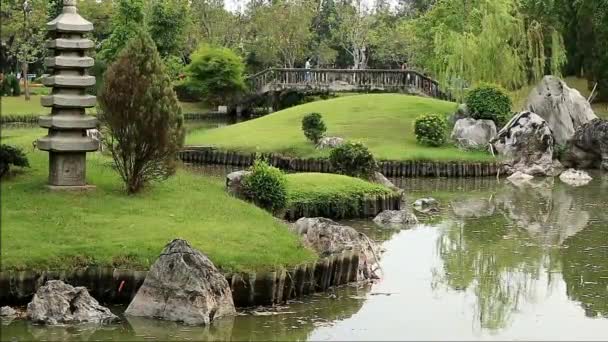 Nagranie Javan Pond Czapla Wędrowanie Pięknym Ogrodzie Japońskim — Wideo stockowe