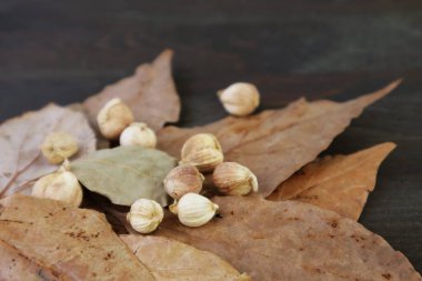 Kuru Koyun Yığını Kara Tahta Arkaplanda Yaprakları Olan Beyaz Cardamoms 'un Yakın Çekimi