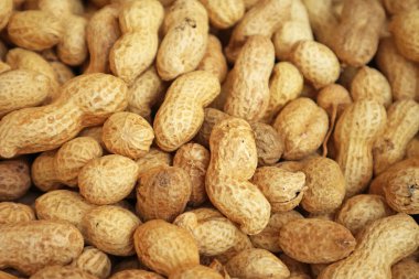 Yerel Markette Satılık Kurutulmuş Fıstık Yığını veya Manama, Bahreyn Çorbası