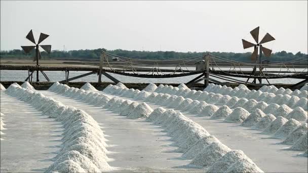 Filmación Salt Farm Con Pilas Sal Cruda Cosechadas Mano Provincia — Vídeo de stock
