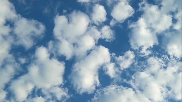 Кадры Белых Пушистых Облаков Текущих Голубом Небе Парой Летающих Птиц — стоковое видео