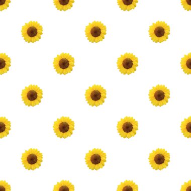 Beyaz arkaplanda izole edilmiş pürüzsüz sarı ayçiçeği deseni